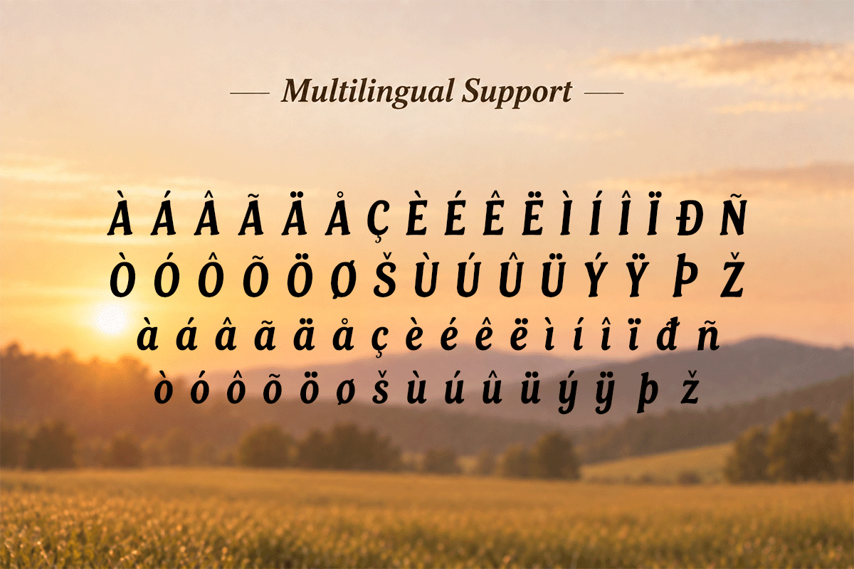 Rustvale handwritten script font specimen preview 6